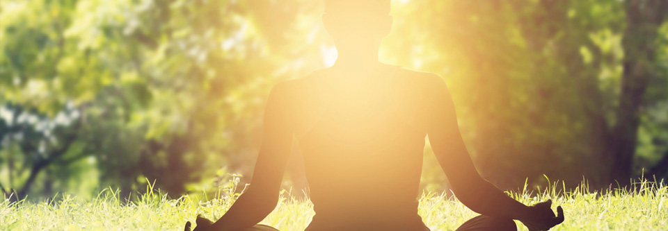 Meditation in the forest image